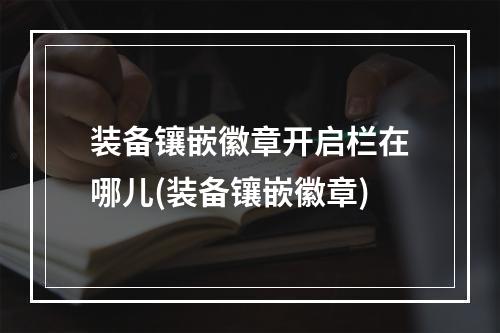 装备镶嵌徽章开启栏在哪儿(装备镶嵌徽章)