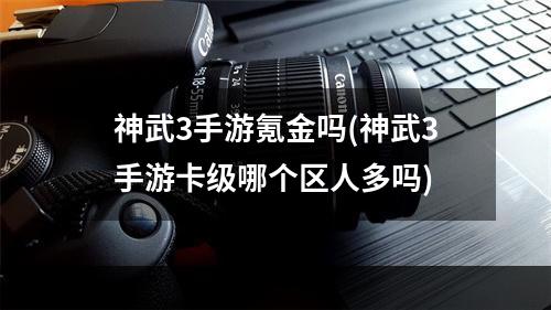 神武3手游氪金吗(神武3手游卡级哪个区人多吗)