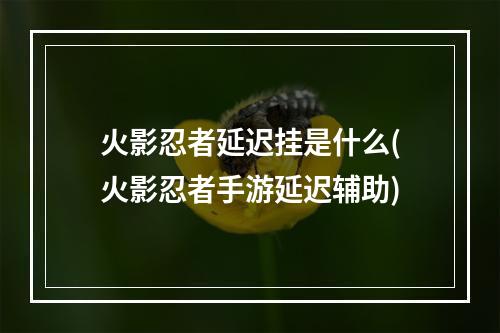 火影忍者延迟挂是什么(火影忍者手游延迟辅助)