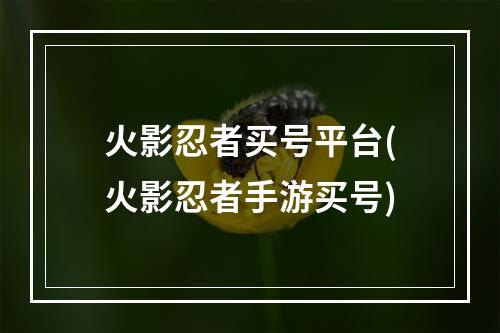 火影忍者买号平台(火影忍者手游买号)