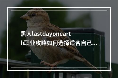 黑人lastdayonearth职业攻略如何选择适合自己的职业？(从游戏角度出发，分析职业的特点和玩家的个性)