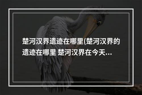 楚河汉界遗迹在哪里(楚河汉界的遗迹在哪里 楚河汉界在今天的哪个地方蚂蚁)