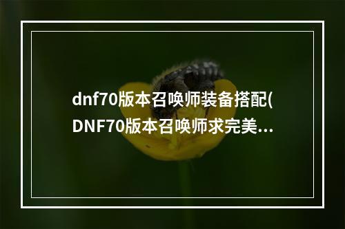 dnf70版本召唤师装备搭配(DNF70版本召唤师求完美刷图加点 70召唤刷图加点攻略)