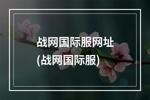 战网国际服网址(战网国际服)