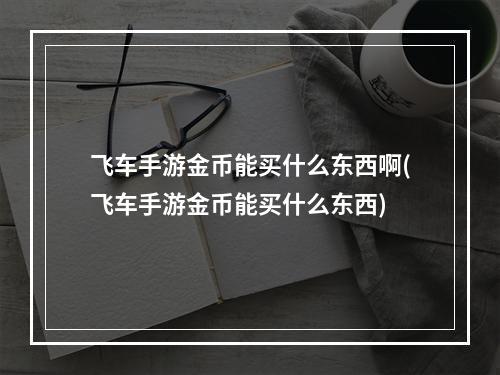 飞车手游金币能买什么东西啊(飞车手游金币能买什么东西)