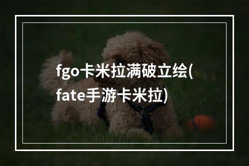 fgo卡米拉满破立绘(fate手游卡米拉)