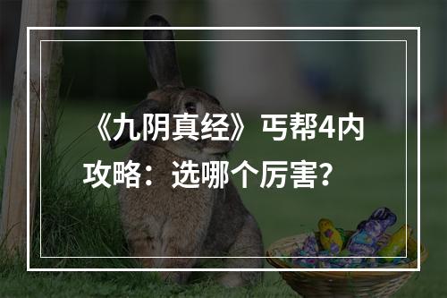 《九阴真经》丐帮4内攻略：选哪个厉害？