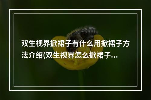 双生视界掀裙子有什么用掀裙子方法介绍(双生视界怎么掀裙子掀裙子需要什么条件)