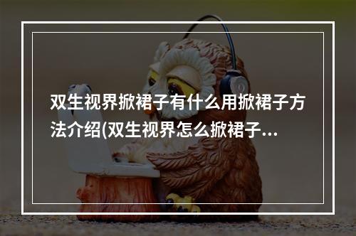 双生视界掀裙子有什么用掀裙子方法介绍(双生视界怎么掀裙子掀裙子需要什么条件)