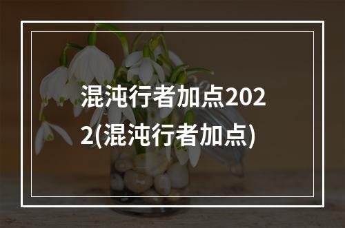 混沌行者加点2022(混沌行者加点)