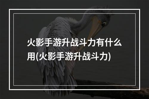 火影手游升战斗力有什么用(火影手游升战斗力)