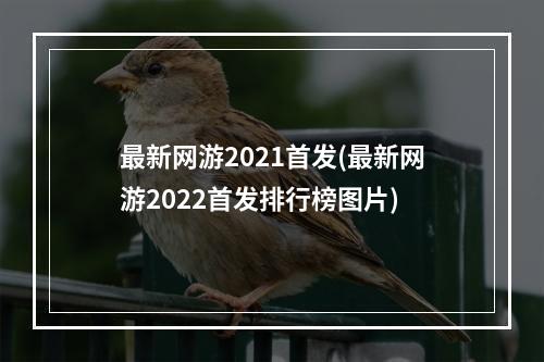 最新网游2021首发(最新网游2022首发排行榜图片)