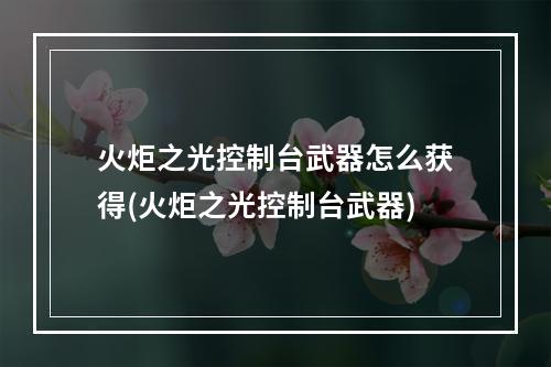 火炬之光控制台武器怎么获得(火炬之光控制台武器)