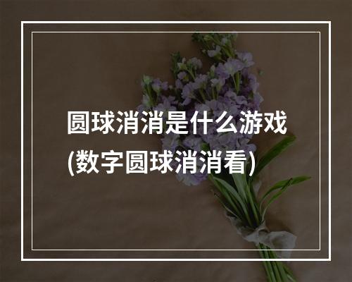 圆球消消是什么游戏(数字圆球消消看)