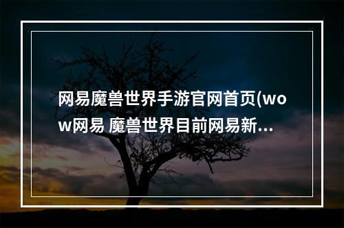 网易魔兽世界手游官网首页(wow网易 魔兽世界目前网易新的官方网站是什么)