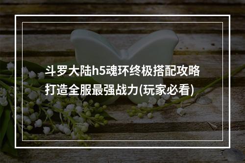 斗罗大陆h5魂环终极搭配攻略打造全服最强战力(玩家必看)