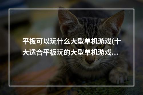 平板可以玩什么大型单机游戏(十大适合平板玩的大型单机游戏2021 好玩的单机游戏推荐)