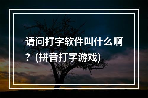 请问打字软件叫什么啊？(拼音打字游戏)