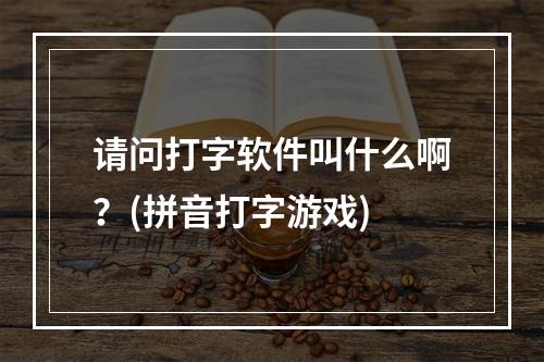 请问打字软件叫什么啊？(拼音打字游戏)