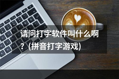 请问打字软件叫什么啊？(拼音打字游戏)