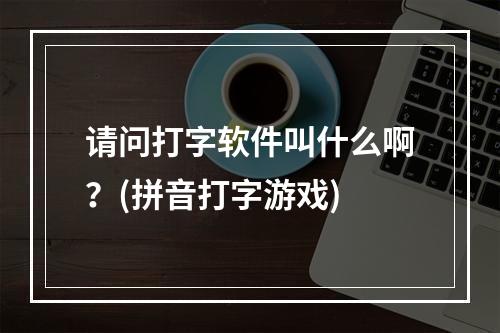 请问打字软件叫什么啊？(拼音打字游戏)