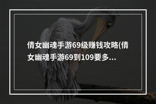 倩女幽魂手游69级赚钱攻略(倩女幽魂手游69到109要多少经验)