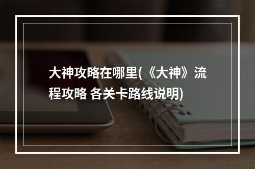 大神攻略在哪里(《大神》流程攻略 各关卡路线说明)