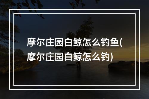 摩尔庄园白鲸怎么钓鱼(摩尔庄园白鲸怎么钓)