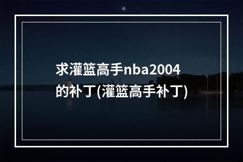 求灌篮高手nba2004的补丁(灌篮高手补丁)