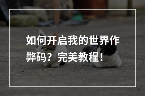 如何开启我的世界作弊码？完美教程！