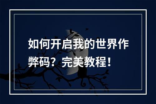 如何开启我的世界作弊码？完美教程！