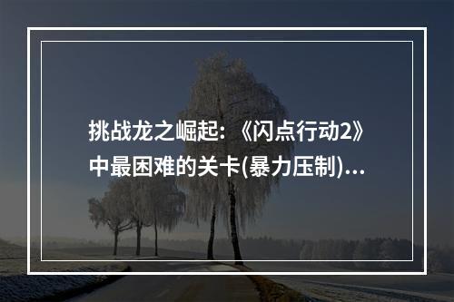 挑战龙之崛起: 《闪点行动2》中最困难的关卡(暴力压制)文中