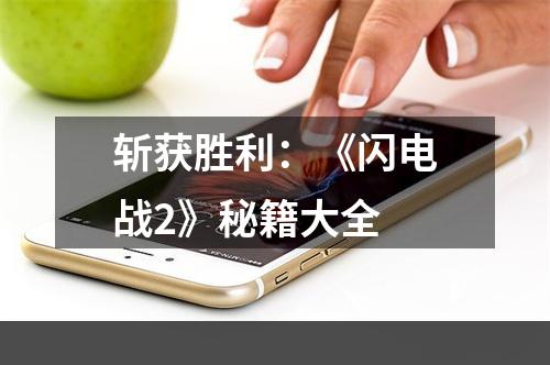 斩获胜利：《闪电战2》秘籍大全