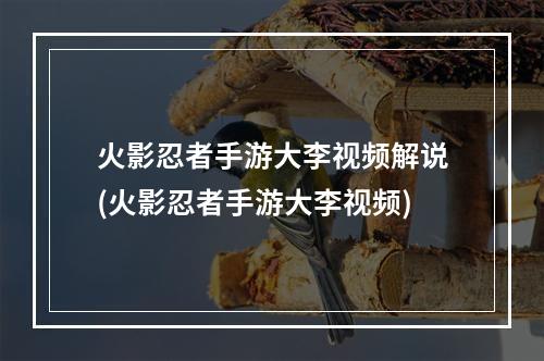 火影忍者手游大李视频解说(火影忍者手游大李视频)