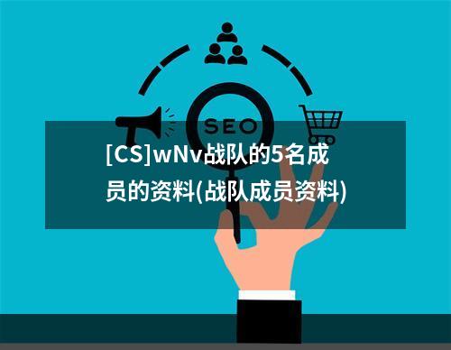 [CS]wNv战队的5名成员的资料(战队成员资料)