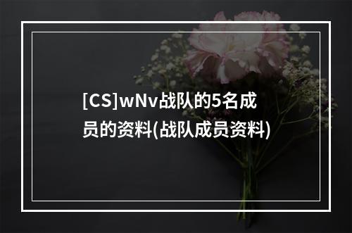 [CS]wNv战队的5名成员的资料(战队成员资料)