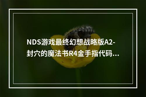 NDS游戏最终幻想战略版A2-封穴的魔法书R4金手指代码(终幻想战略版金手指)