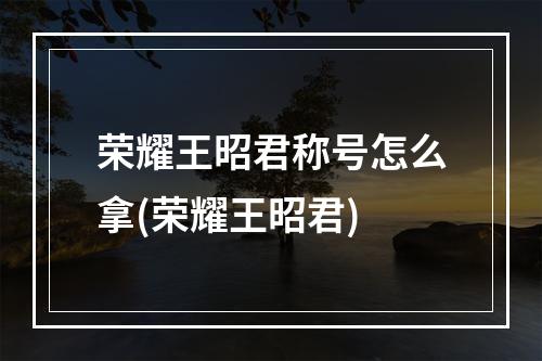 荣耀王昭君称号怎么拿(荣耀王昭君)