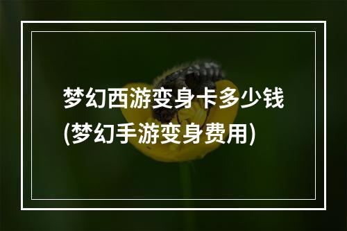 梦幻西游变身卡多少钱(梦幻手游变身费用)