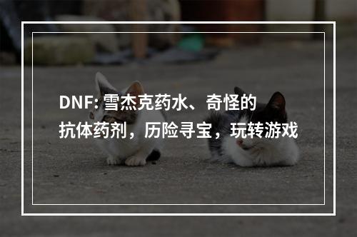 DNF: 雪杰克药水、奇怪的抗体药剂，历险寻宝，玩转游戏