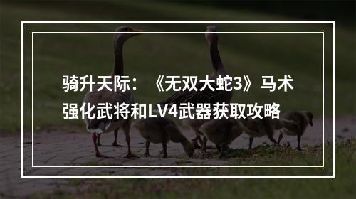 骑升天际：《无双大蛇3》马术强化武将和LV4武器获取攻略