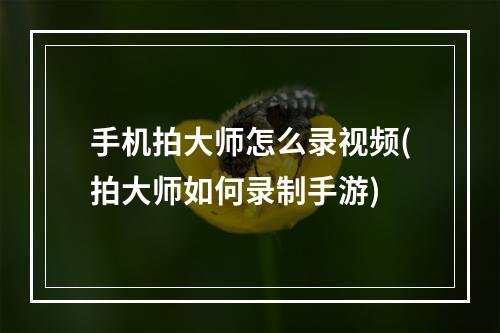 手机拍大师怎么录视频(拍大师如何录制手游)