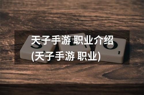 天子手游 职业介绍(天子手游 职业)