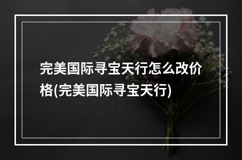 完美国际寻宝天行怎么改价格(完美国际寻宝天行)