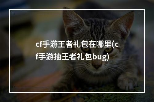 cf手游王者礼包在哪里(cf手游抽王者礼包bug)