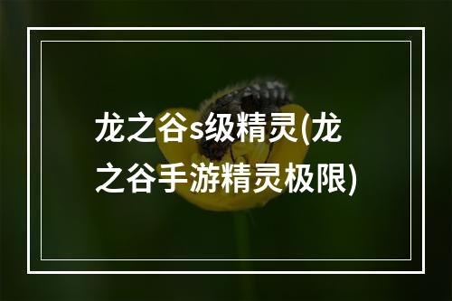 龙之谷s级精灵(龙之谷手游精灵极限)