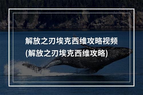 解放之刃埃克西维攻略视频(解放之刃埃克西维攻略)