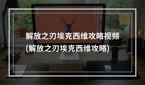 解放之刃埃克西维攻略视频(解放之刃埃克西维攻略)