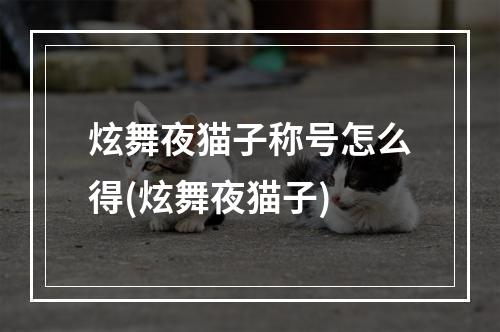 炫舞夜猫子称号怎么得(炫舞夜猫子)