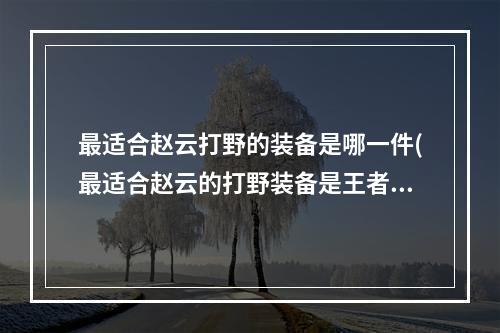 最适合赵云打野的装备是哪一件(最适合赵云的打野装备是王者荣耀夫子的试炼答案)